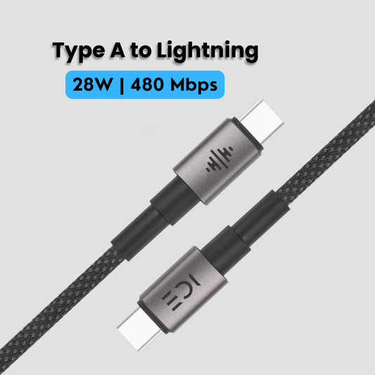 ICE Type A to Lightning