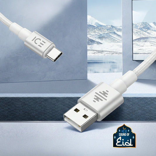 ICE Type A to Type C White