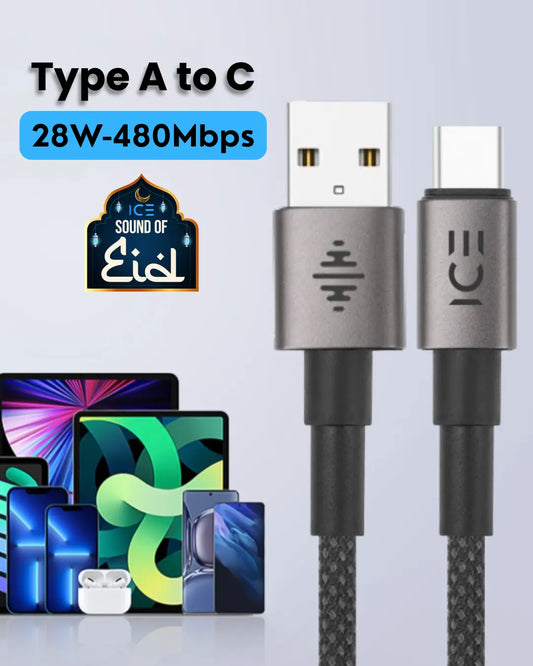 ICE Type A to Type C Black